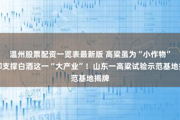 温州股票配资一览表最新版 高粱虽为“小作物”，却支撑白酒这一“大产业”！山东一高粱试验示范基地揭牌